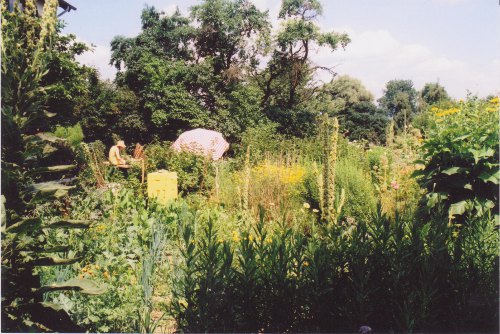 Garten von Kerstin Heymann